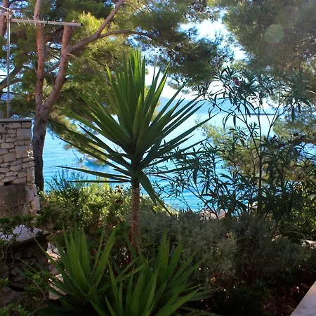 Apartments By The Sea Lumbarda, Korcula - 9480 Lägenhet Lumbarda